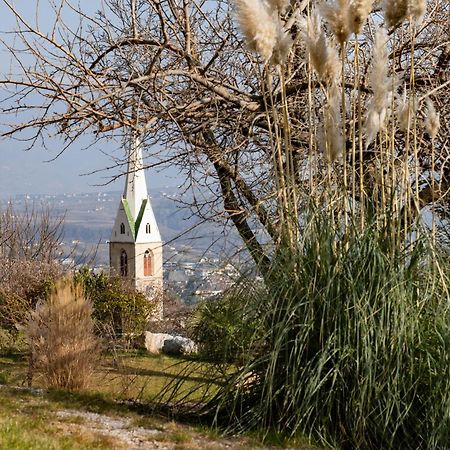 San Antonia Apartman Caldaro Kültér fotó