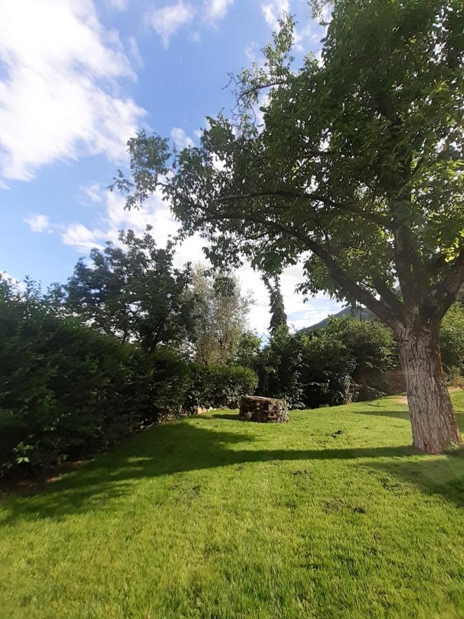 San Antonia Apartman Caldaro Kültér fotó