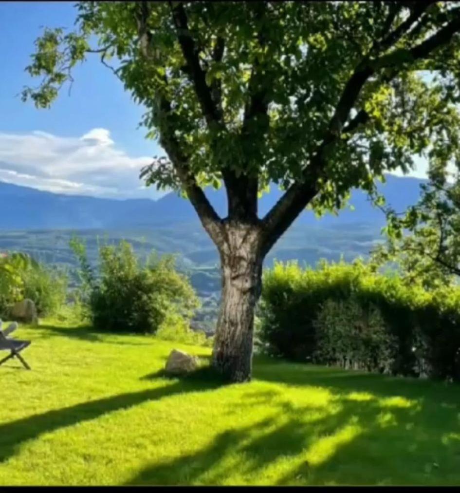 San Antonia Apartman Caldaro Kültér fotó